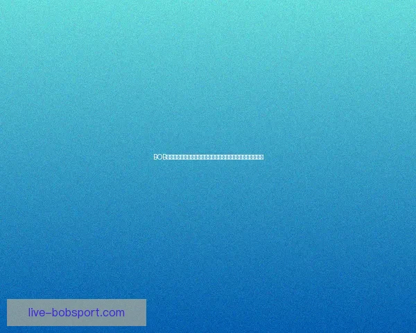 BOB体育助力用户畅享全方位体育赛事体验开启未来运动娱乐新篇章