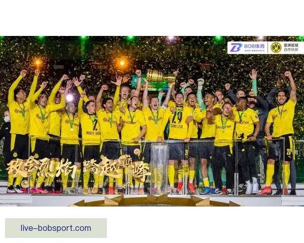 BOB体育助力用户畅享全方位体育赛事体验开启未来运动娱乐新篇章