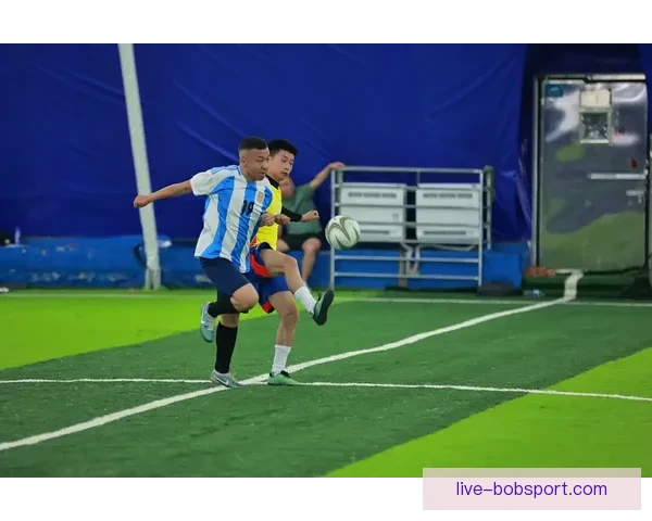 2026世界杯直播平台全攻略如何轻松在线免费观看比赛精彩瞬间